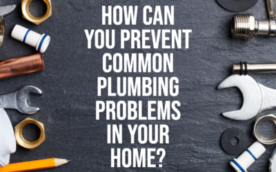 How Can You Prevent Common Plumbing Problems?